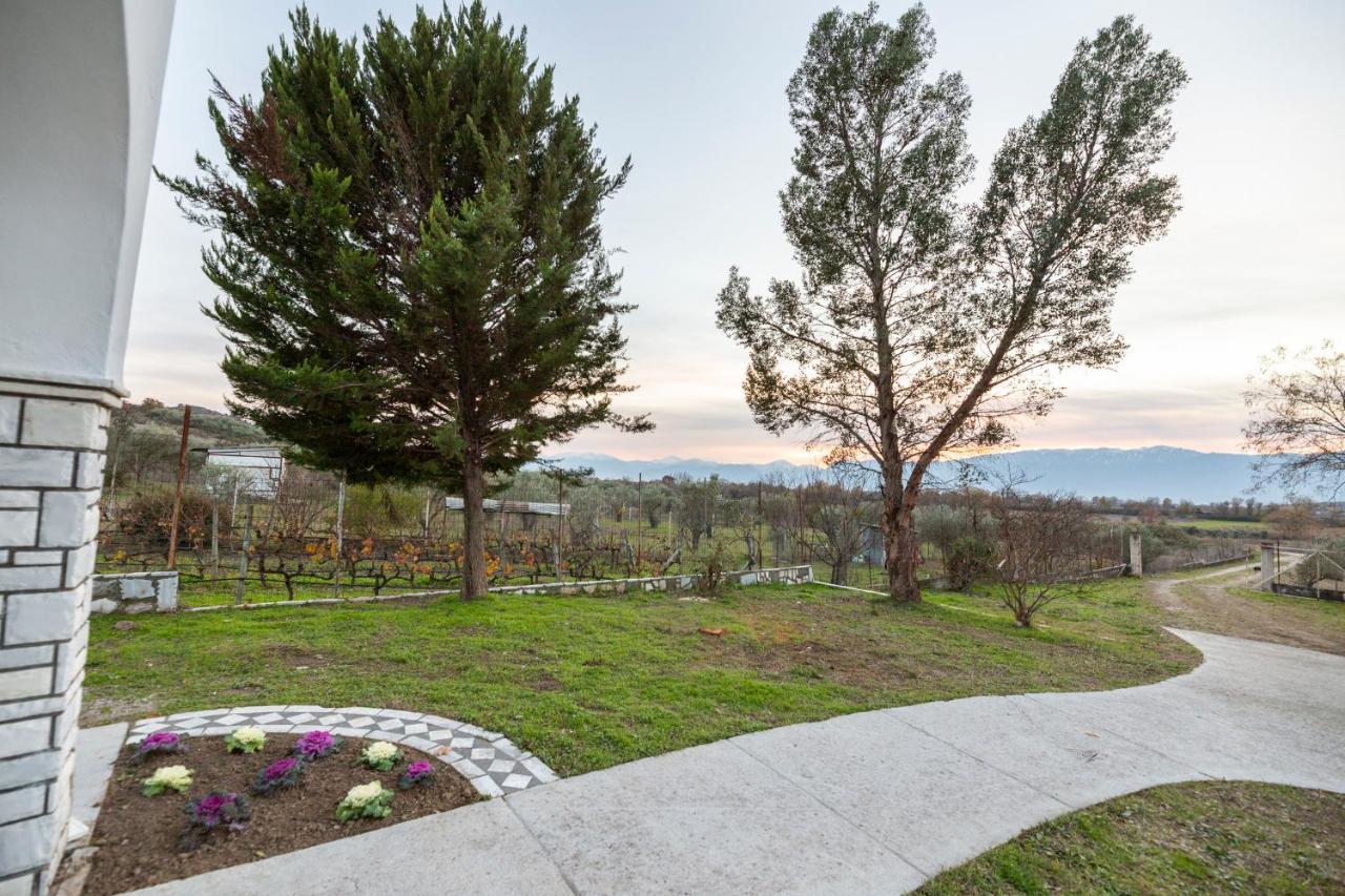 Τrικαλα - Μετεorα-Villa Toscana Τρίκαλα Εξωτερικό φωτογραφία